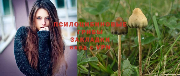 apvp Абинск